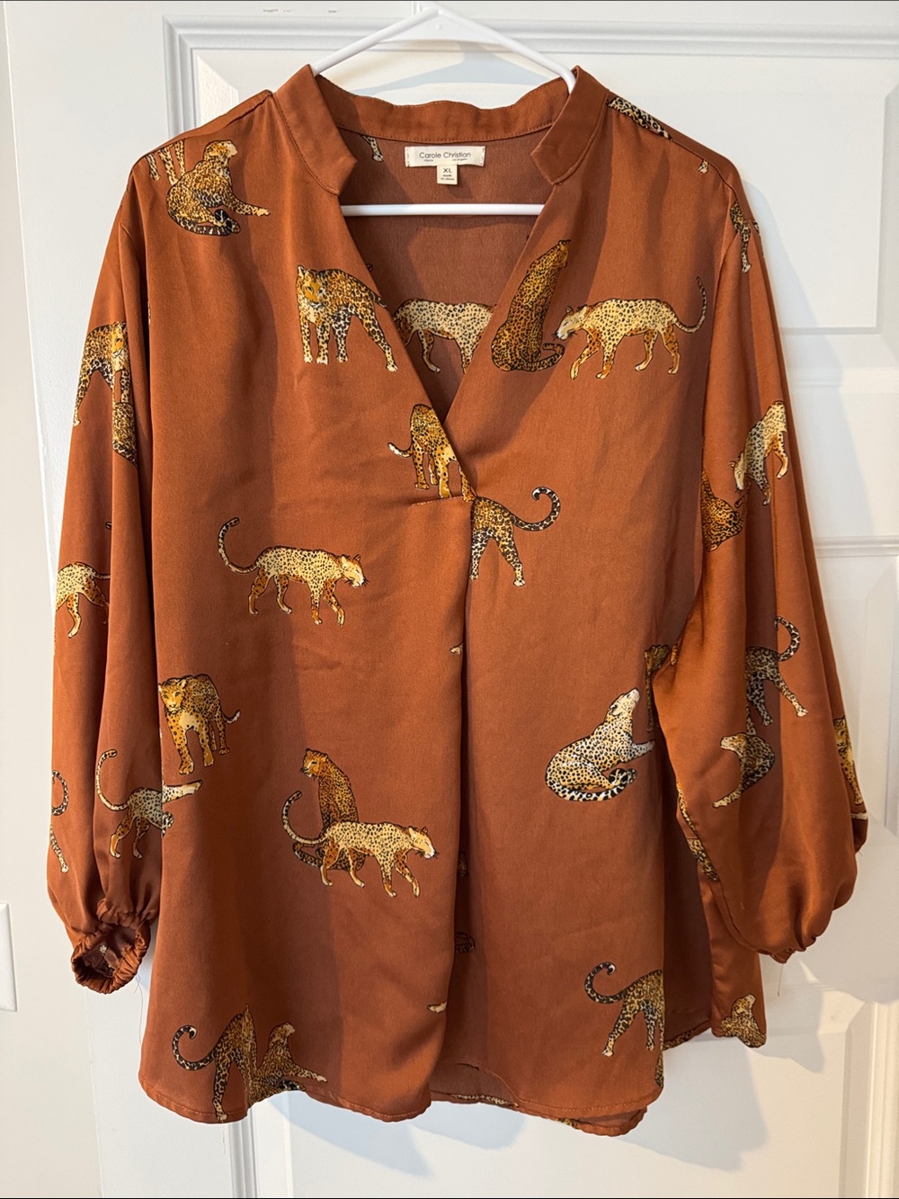 Animal Print Rust Long-Sleeve Blouse